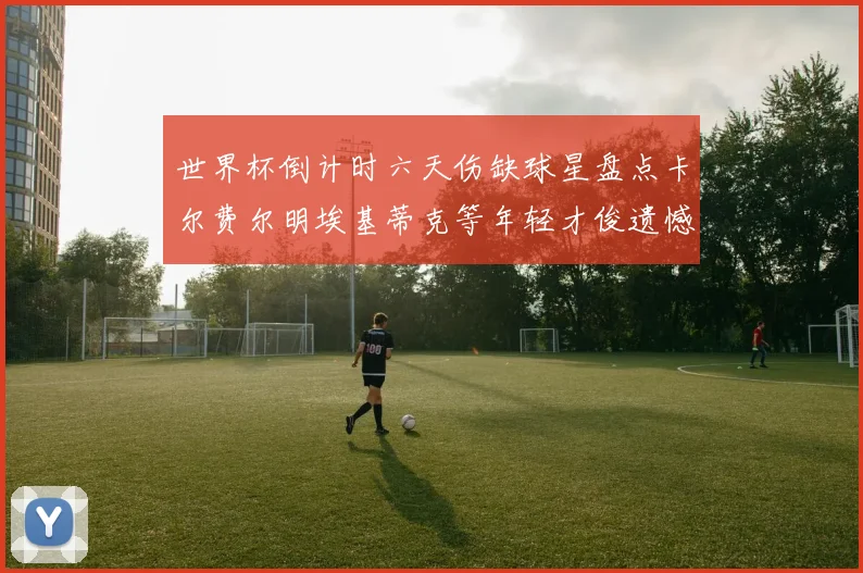 世界杯倒计时六天伤缺球星盘点卡尔费尔明埃基蒂克等年轻才俊遗憾缺席