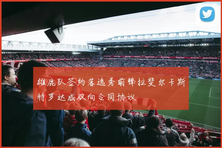 雄鹿队签约落选秀前锋拉斐尔卡斯特罗达成双向合同协议