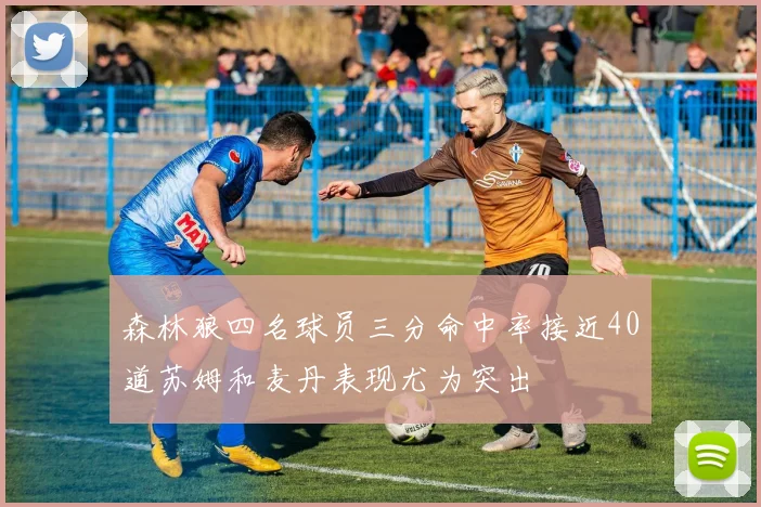 森林狼四名球员三分命中率接近40道苏姆和麦丹表现尤为突出