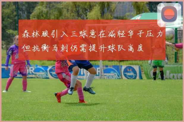 森林狼引入三球意在减轻华子压力但抗衡马刺仍需提升球队高度